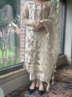 نورِ شام - Image 5